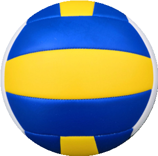 ALDI volleyball