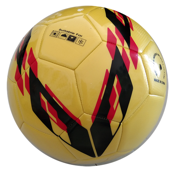 MFBXC1903-23