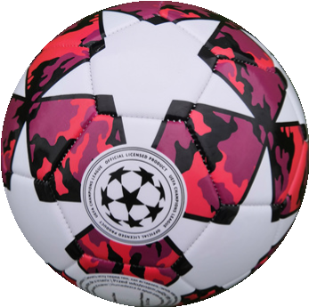 UEFA CHAMPION soccer ball