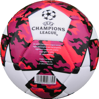 UEFA CHAMPION soccer ball