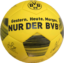 BVB Signature soccer ball