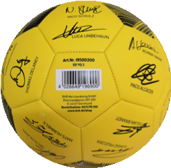 BVB Signature soccer ball