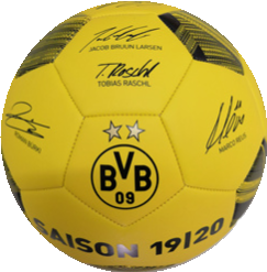 BVB Signature soccer ball